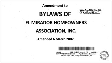 Invalid and Improper Bylaw Amendment